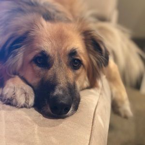 Meet your Posher, Deirdre